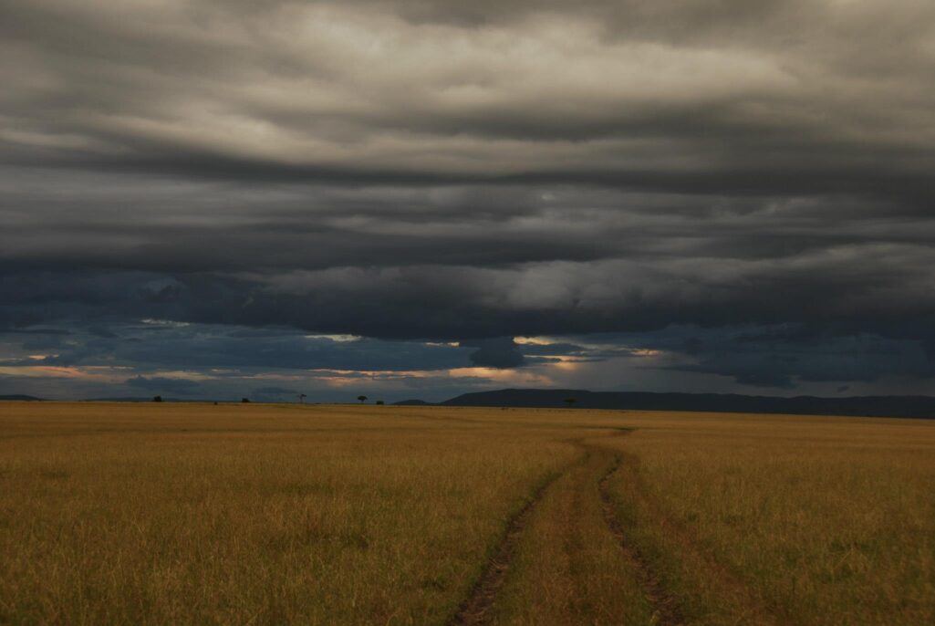 Tsavo National Park, Kenya
